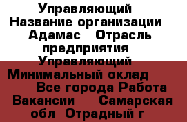 Управляющий › Название организации ­ Адамас › Отрасль предприятия ­ Управляющий › Минимальный оклад ­ 40 000 - Все города Работа » Вакансии   . Самарская обл.,Отрадный г.